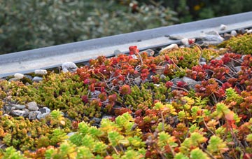 the cost of Sudden green roof installation